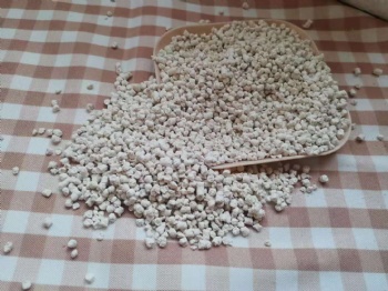 Tofu Cat Litter (puffed) Original