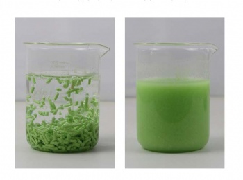Tofu Cat Litter green tea