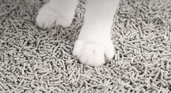 Tofu Cat Litter -activated carbon