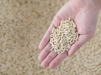 Tofu Cat Litter -corn