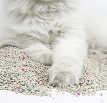 Bentonite cat litter