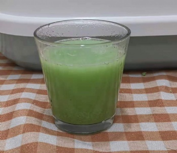 Tofu Cat Litter (puffed) Green Tea